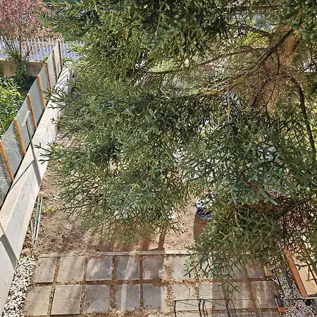 Nocleg ze śniadaniem Why Not *